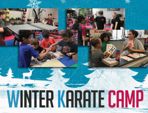 Winter Karate Camp